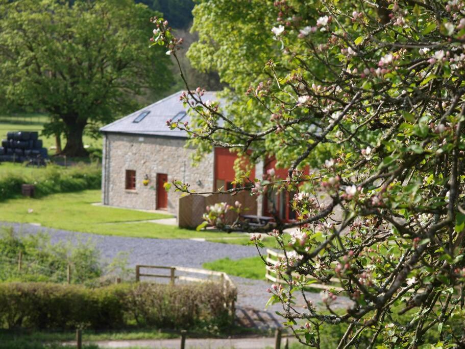 Peregrine Stable Cottage Llandovery Εξωτερικό φωτογραφία