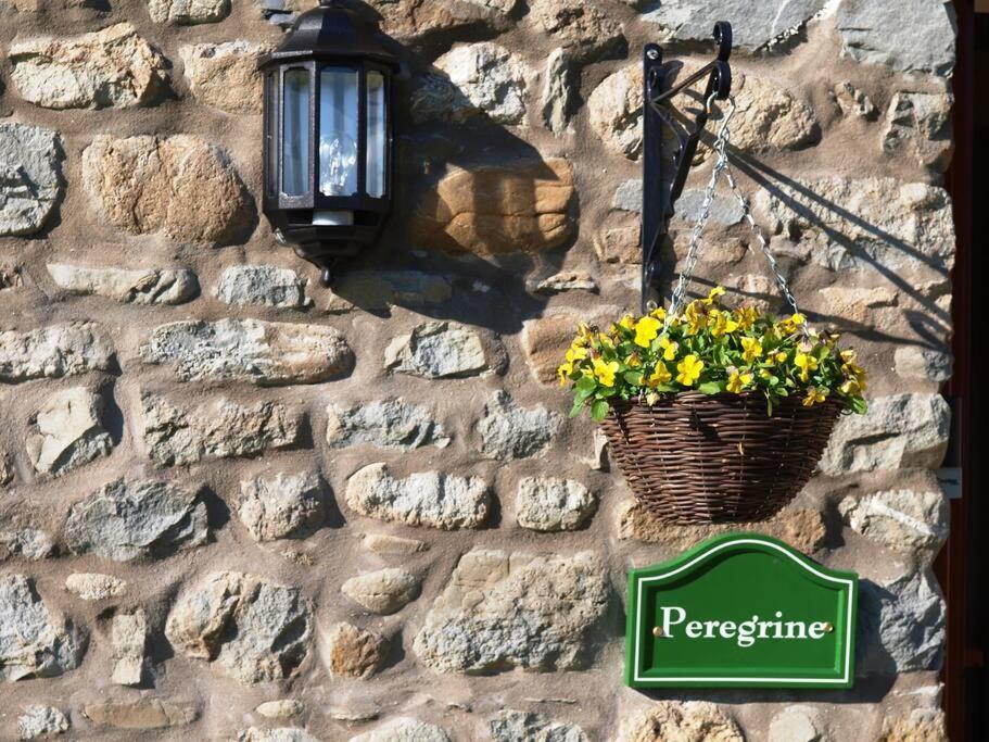 Peregrine Stable Cottage Llandovery Εξωτερικό φωτογραφία